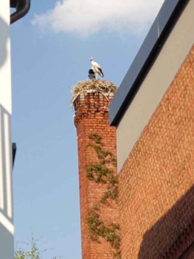 Ferienwohnung Am Rathaus Tangermunde Bagian luar foto